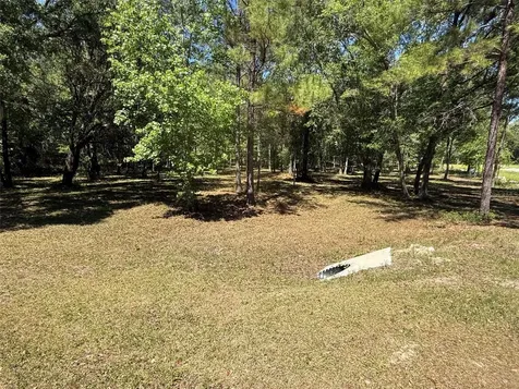 0 NW 145 Avenue Williston FL 32696