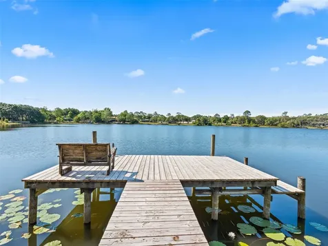 214 Fisher Run Ocklawaha FL 32179