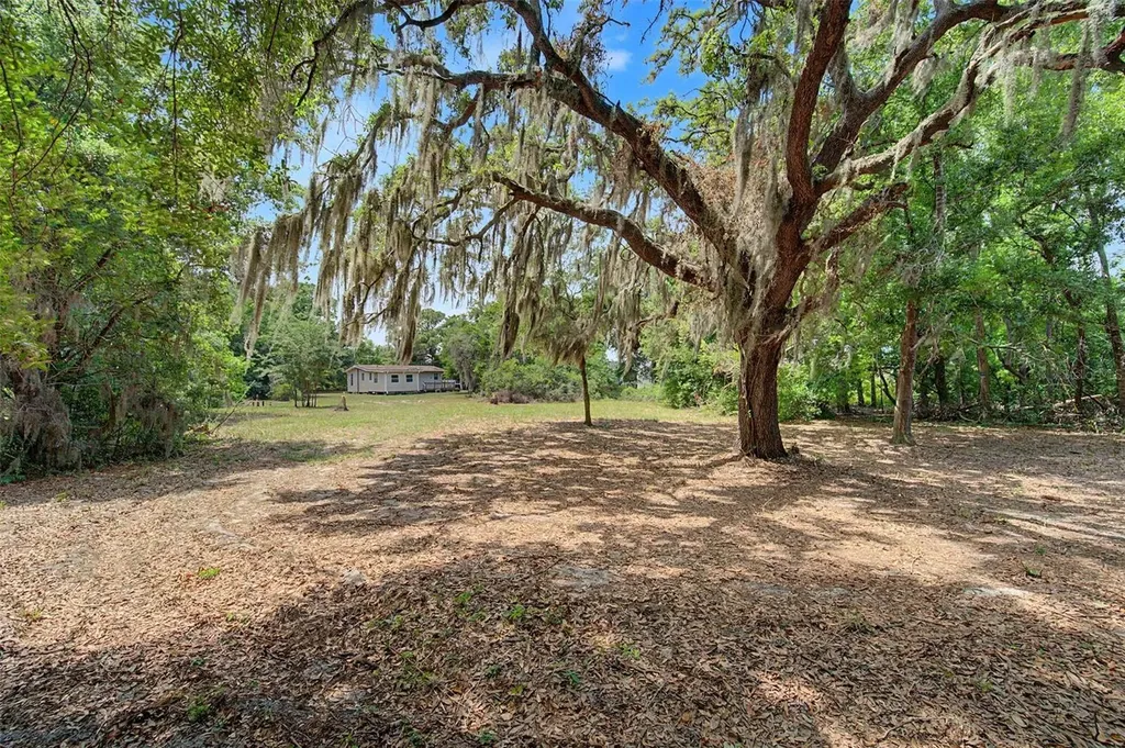 232 Cutrone Road Winter Haven FL 33880