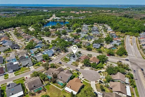 12002 W Pond Way Tampa FL 33635