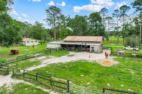 4801 SE Highway 42 Summerfield FL 34491