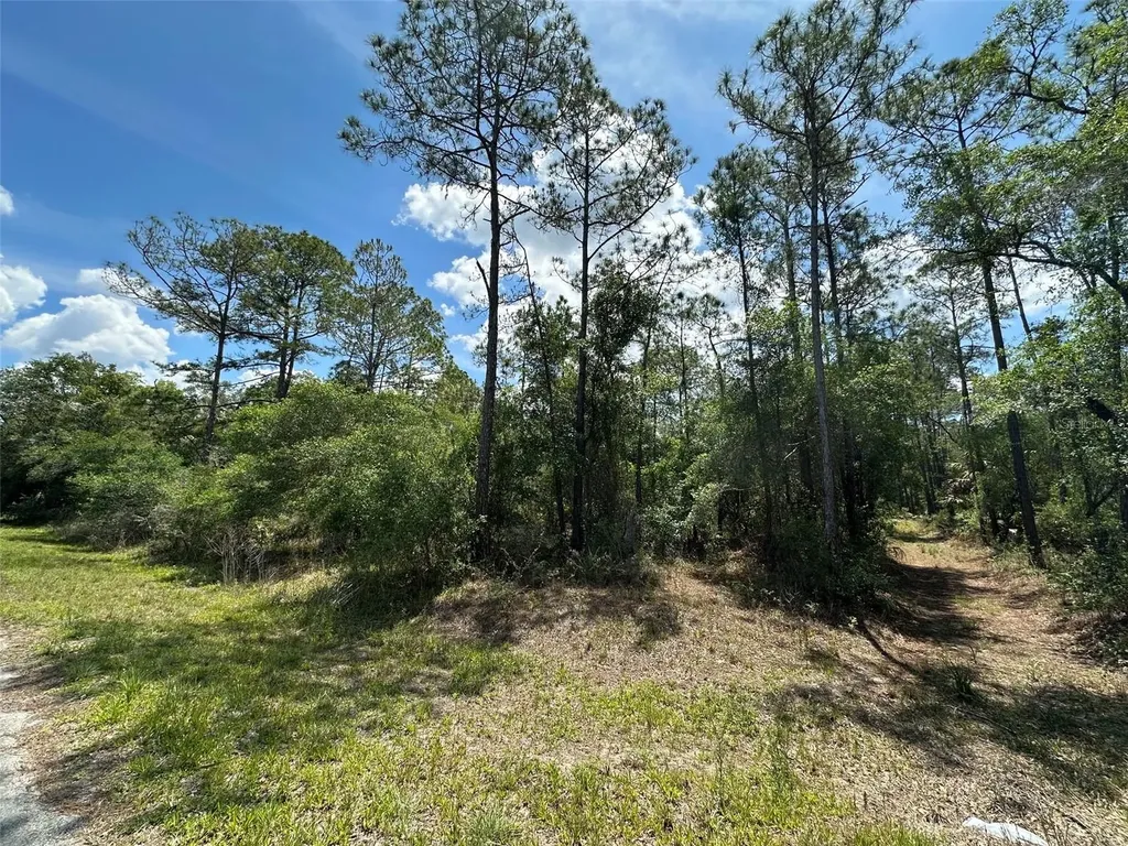 12184 W Arborvitae Place Crystal River FL 34428