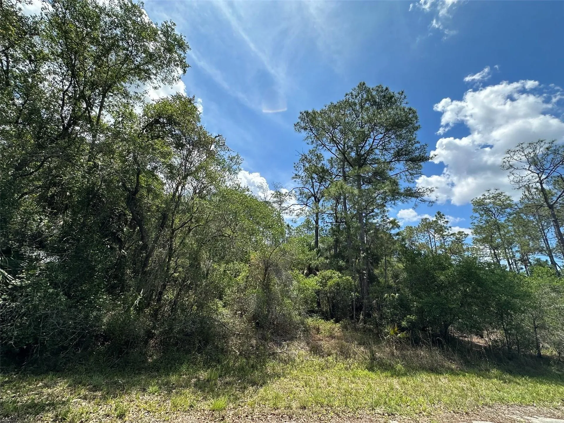 12184 W Arborvitae Place Crystal River FL 34428