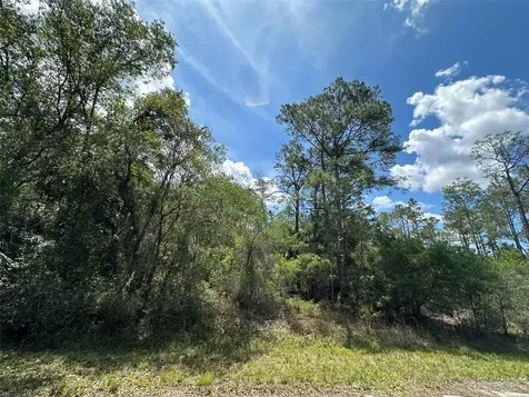 12184 W Arborvitae Place Crystal River FL 34428