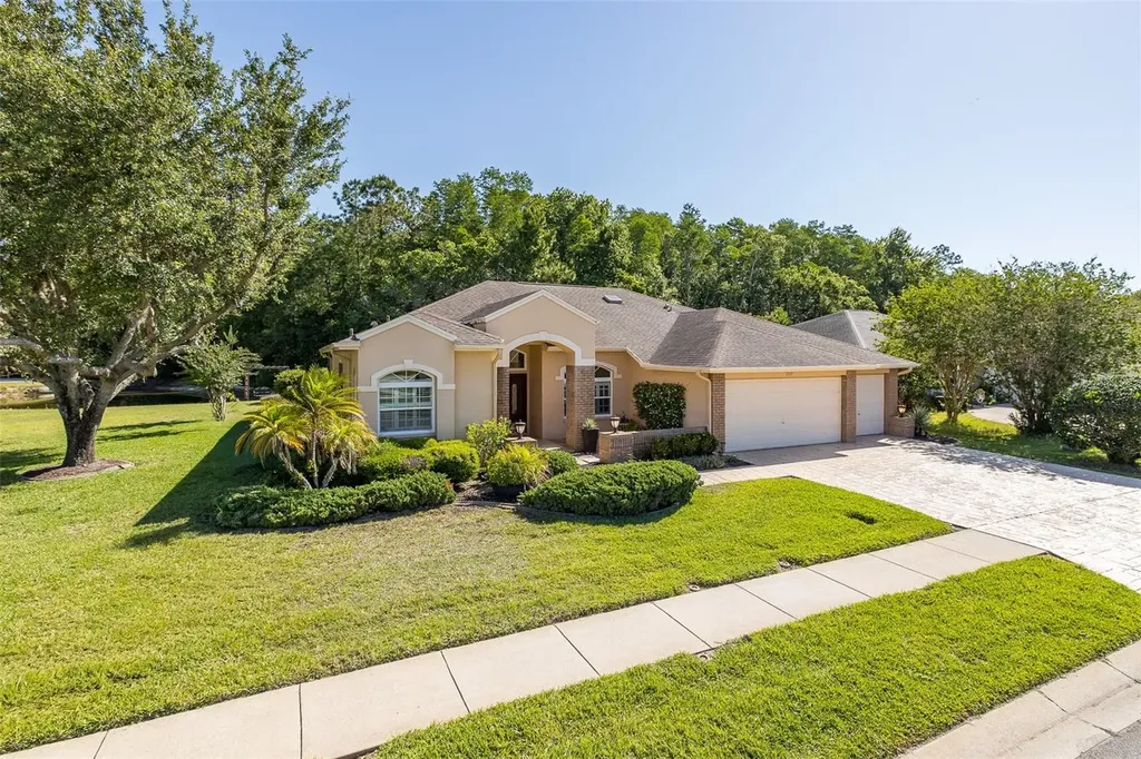 1517 Haverhill Drive New Port Richey FL 34655