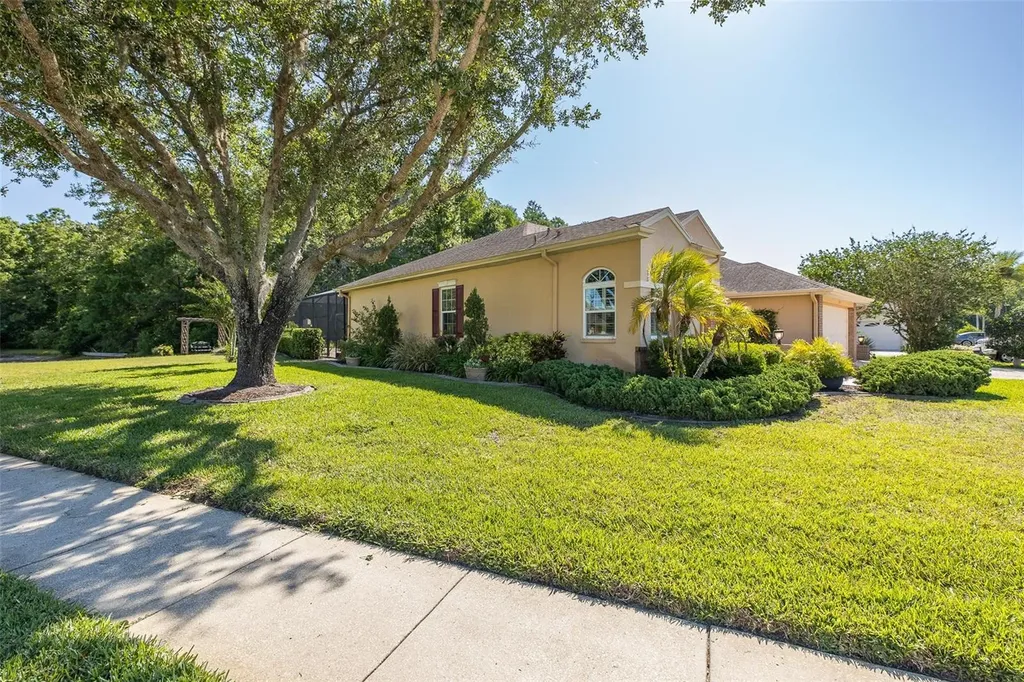 1517 Haverhill Drive New Port Richey FL 34655