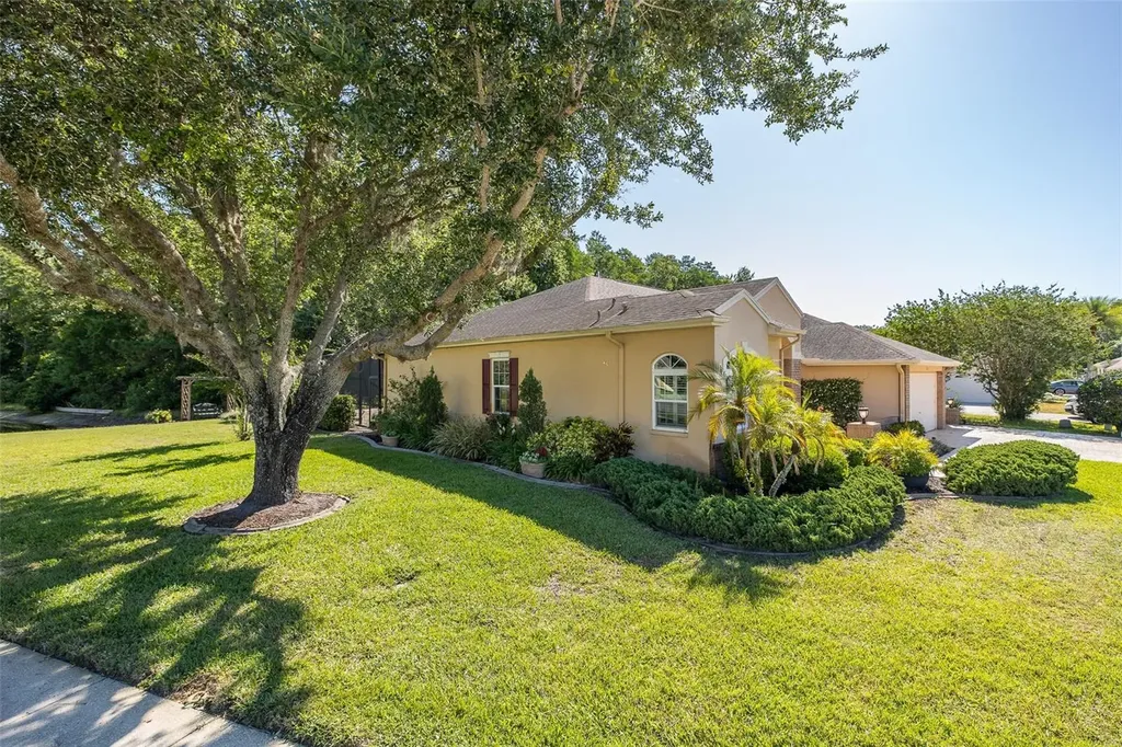 1517 Haverhill Drive New Port Richey FL 34655