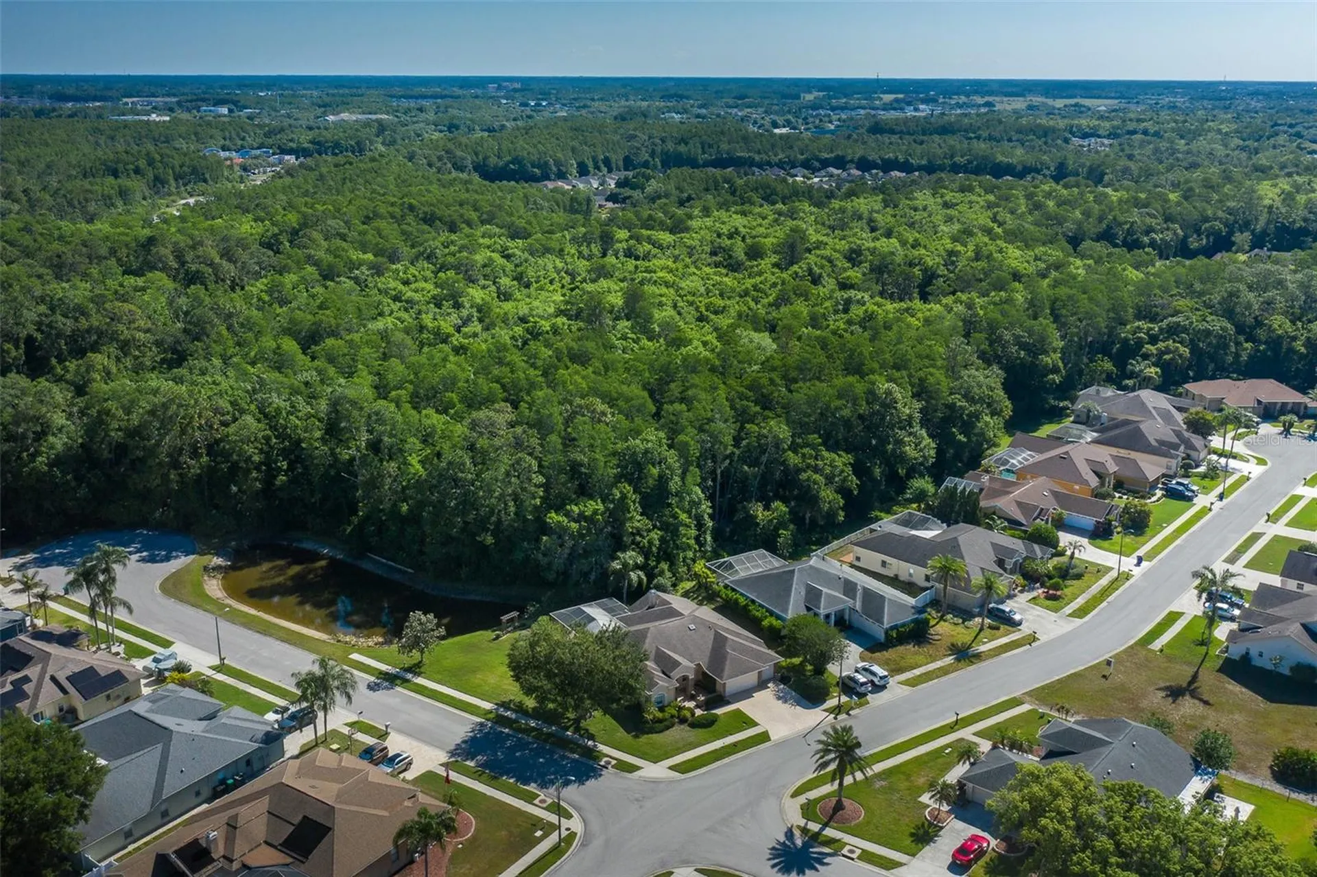 1517 Haverhill Drive New Port Richey FL 34655