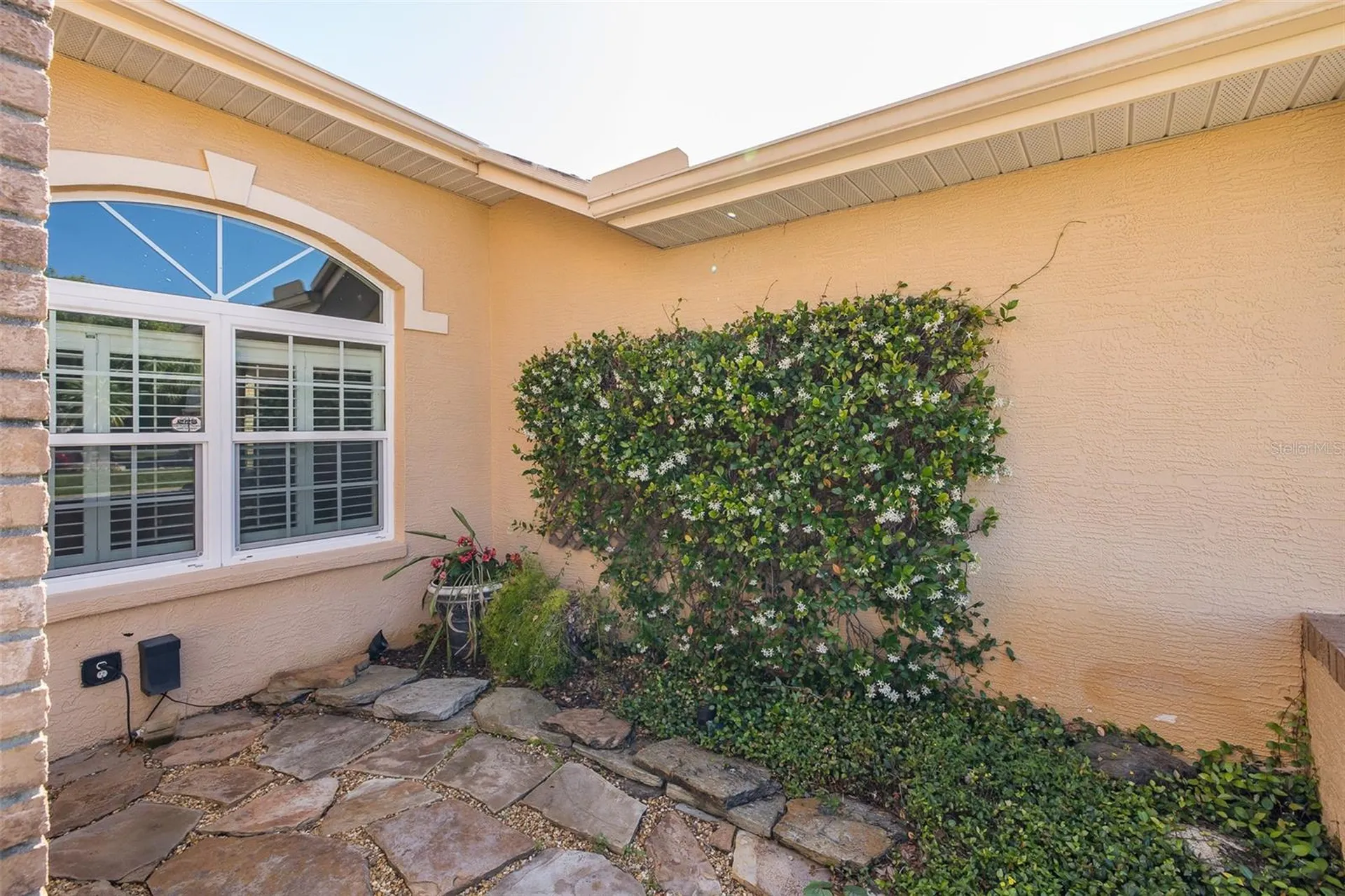 1517 Haverhill Drive New Port Richey FL 34655