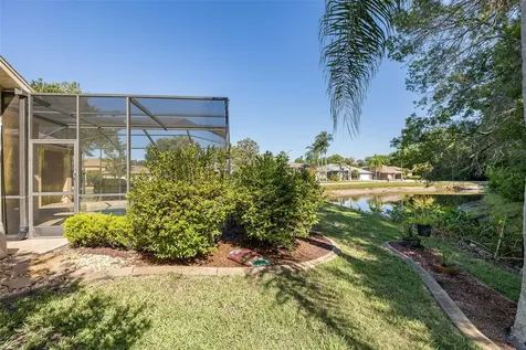 1517 Haverhill Drive New Port Richey FL 34655