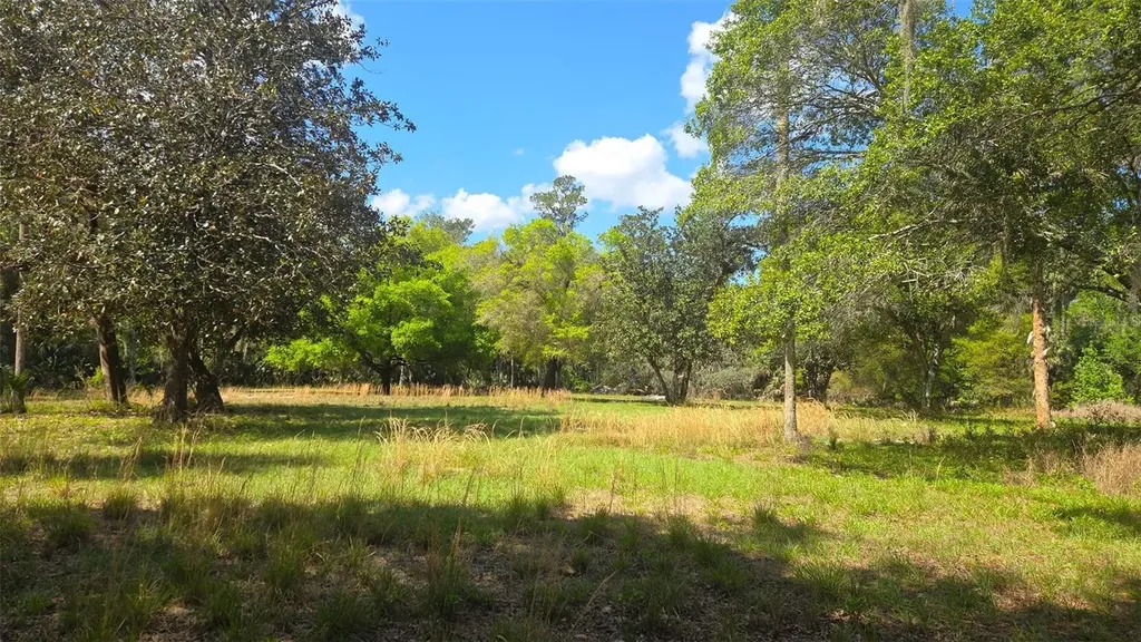 2140 St Johns River Road Astor FL 32102
