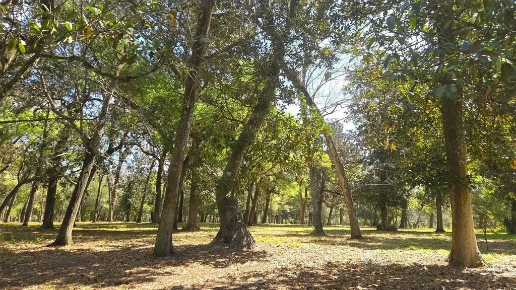 2140 St Johns River Road Astor FL 32102