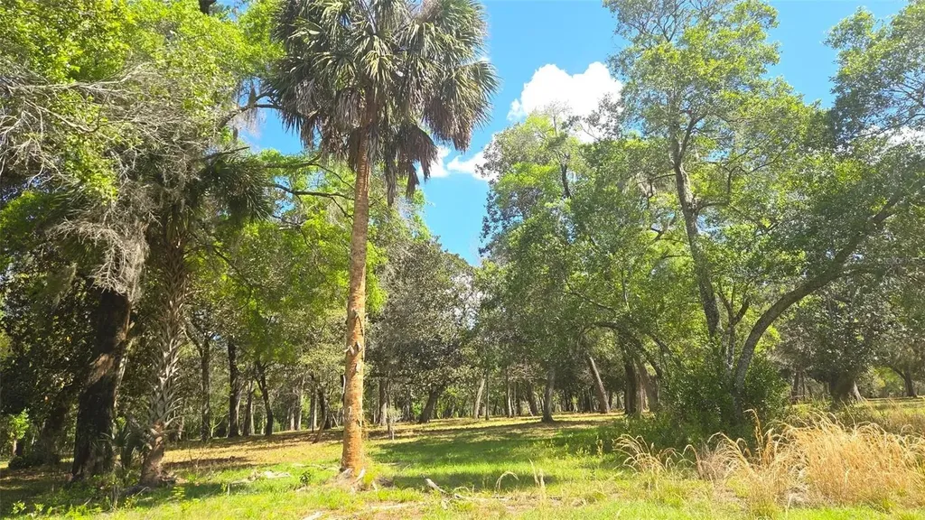 2140 St Johns River Road Astor FL 32102