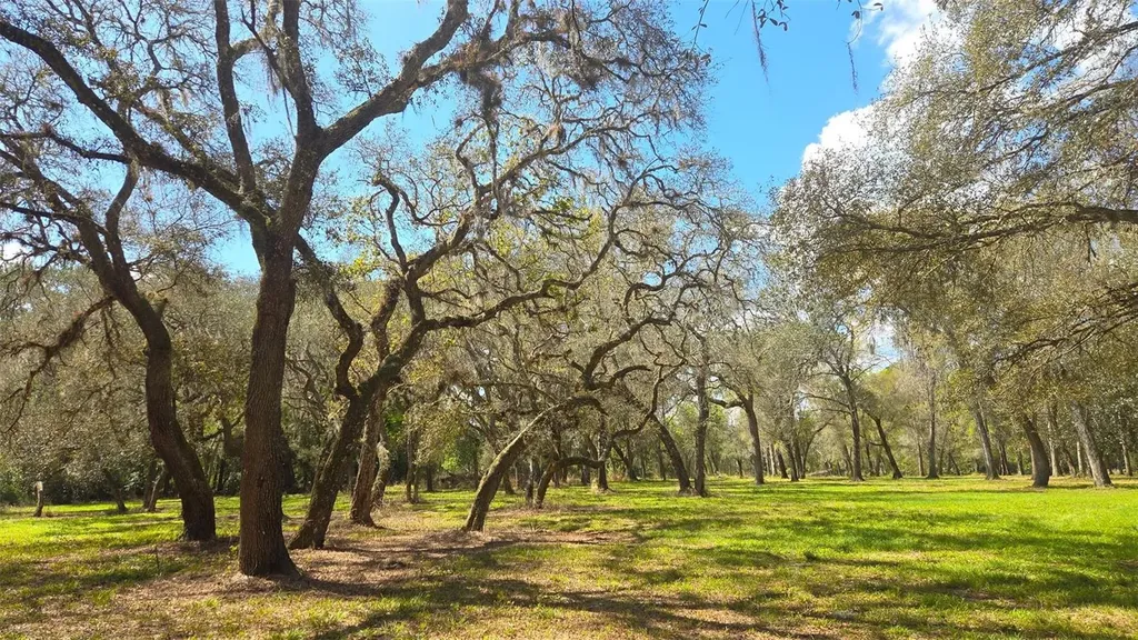 2140 St Johns River Road Astor FL 32102