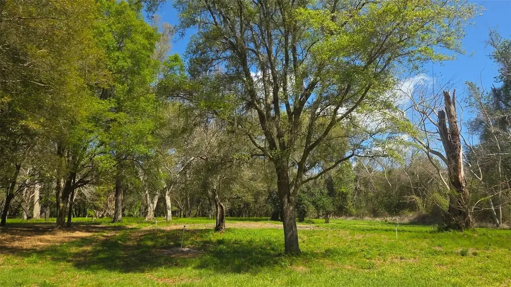 2140 St Johns River Road Astor FL 32102