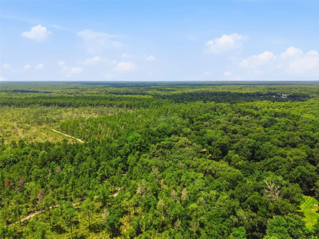 2140 St Johns River Road Astor FL 32102