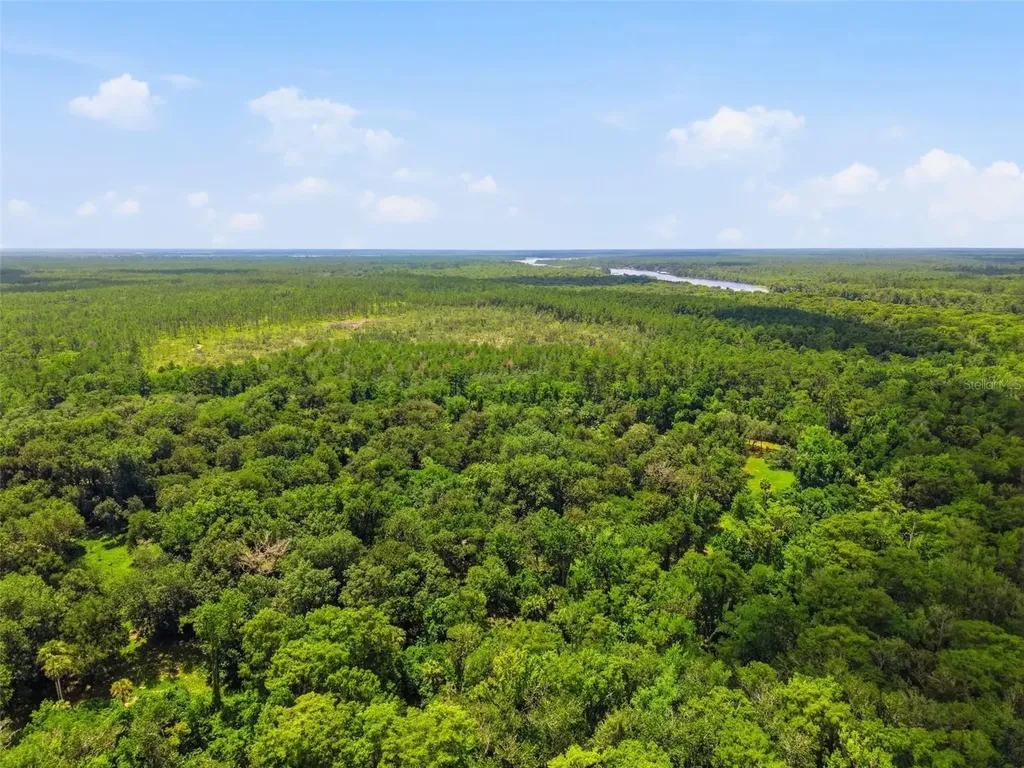 2140 St Johns River Road Astor FL 32102