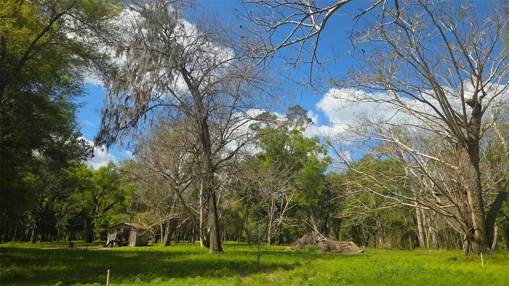 2140 St Johns River Road Astor FL 32102