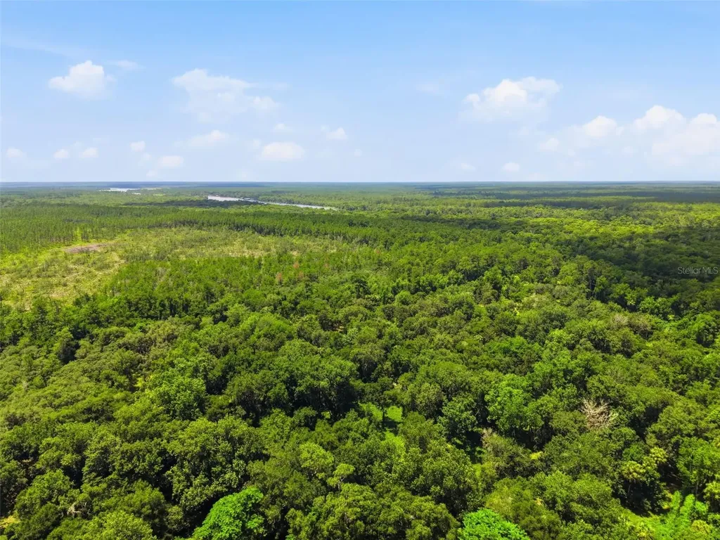 2140 St Johns River Road Astor FL 32102