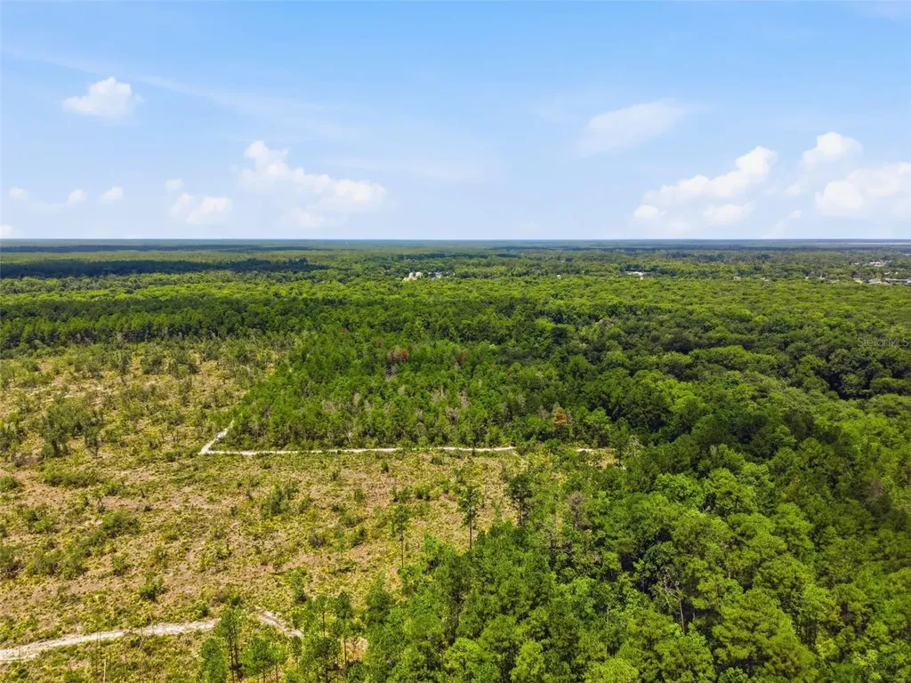 2140 St Johns River Road Astor FL 32102