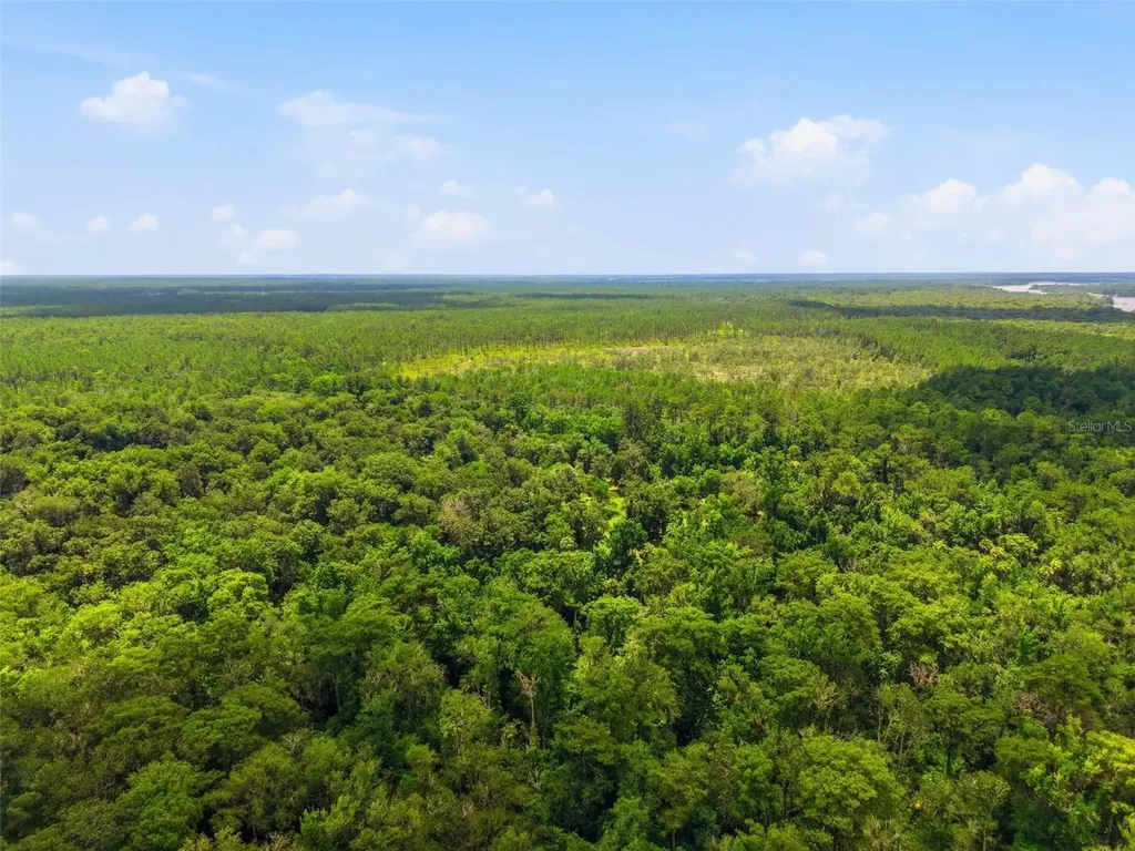 2140 St Johns River Road Astor FL 32102