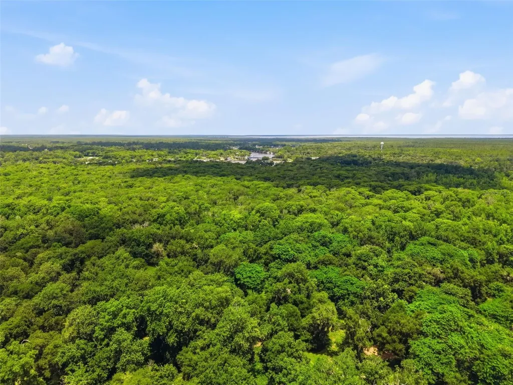 2140 St Johns River Road Astor FL 32102