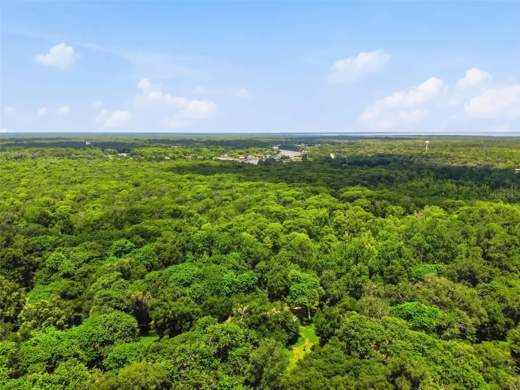 2140 St Johns River Road Astor FL 32102