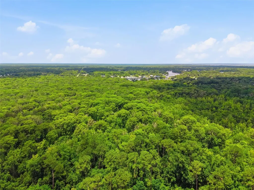 2140 St Johns River Road Astor FL 32102