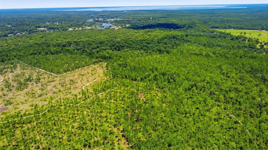 2140 St Johns River Road Astor FL 32102