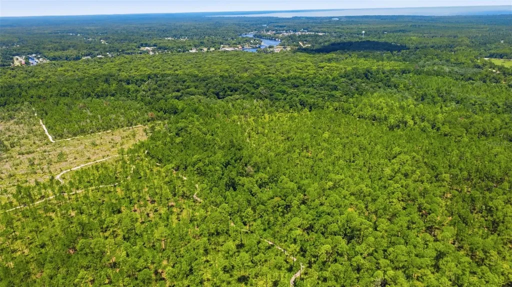 2140 St Johns River Road Astor FL 32102