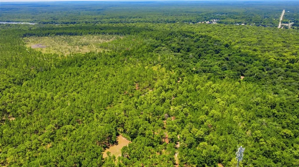 2140 St Johns River Road Astor FL 32102