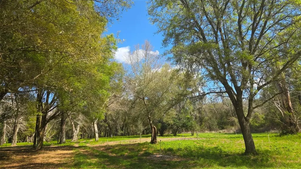 2140 St Johns River Road Astor FL 32102