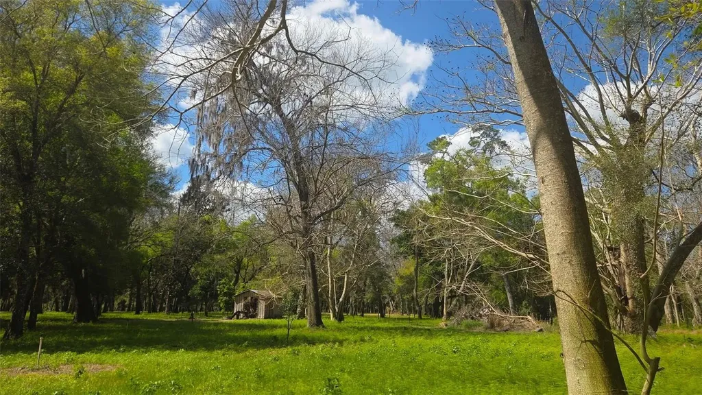 2140 St Johns River Road Astor FL 32102