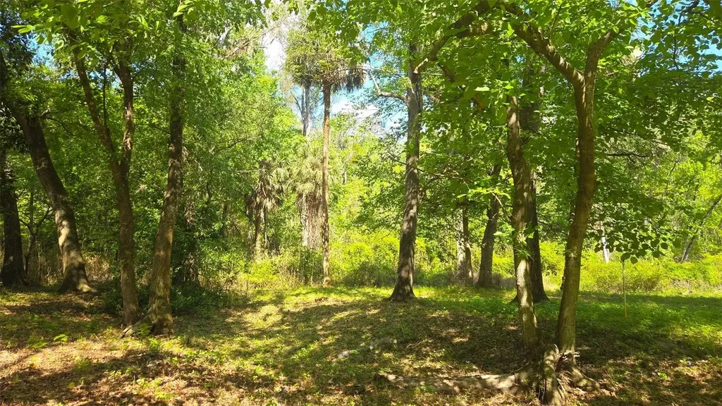 2140 St Johns River Road Astor FL 32102