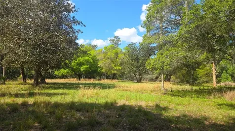 2140 St Johns River Road Astor FL 32102