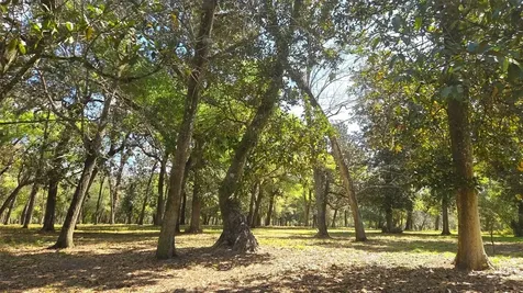 2140 St Johns River Road Astor FL 32102