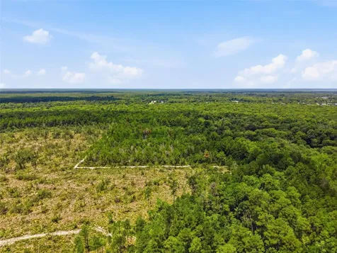 2140 St Johns River Road Astor FL 32102