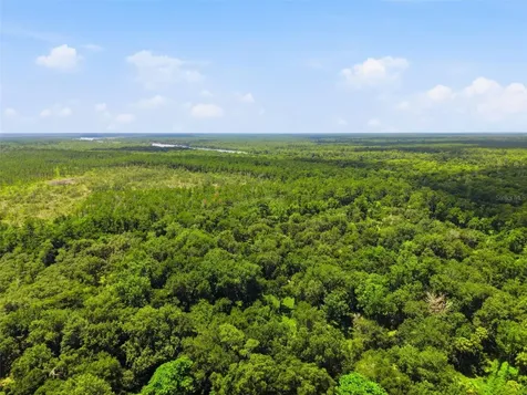 2140 St Johns River Road Astor FL 32102