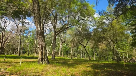 2140 St Johns River Road Astor FL 32102