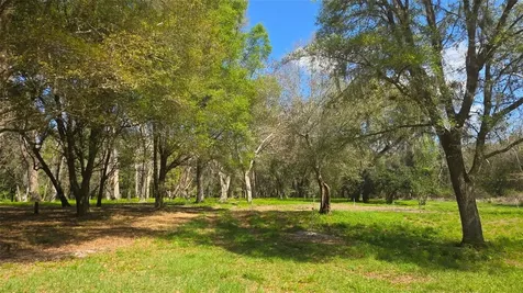 2140 St Johns River Road Astor FL 32102