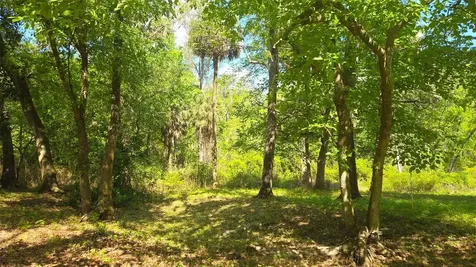 2140 St Johns River Road Astor FL 32102
