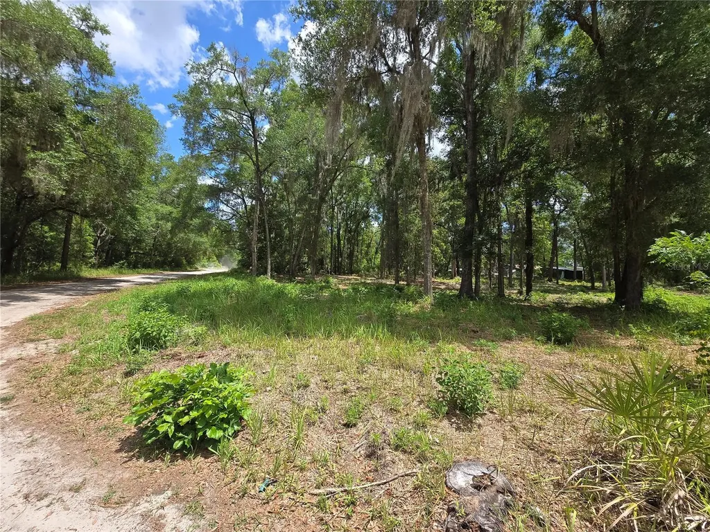 0 SW 15th Place Ocala FL 34481