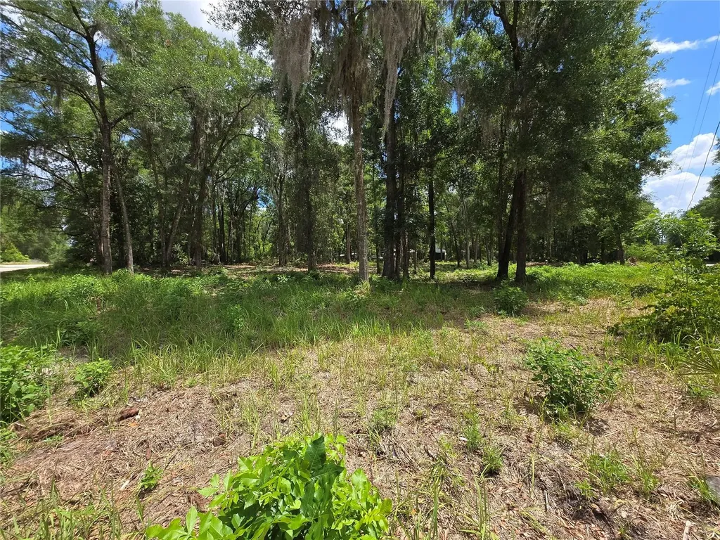 0 SW 15th Place Ocala FL 34481