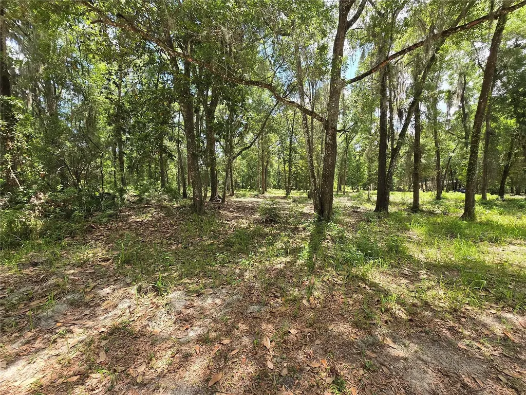 0 SW 15th Place Ocala FL 34481