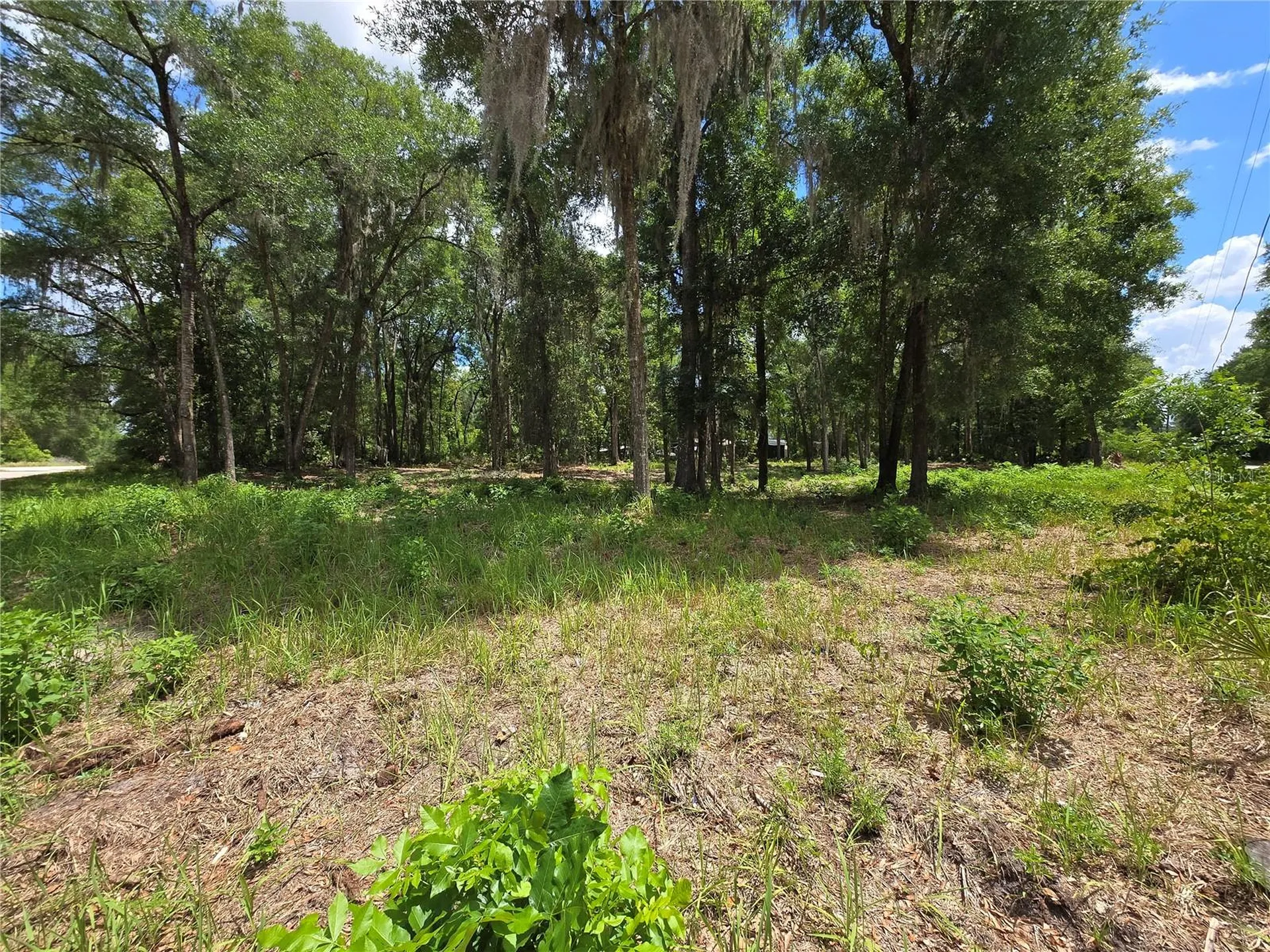 0 SW 15th Place Ocala FL 34481