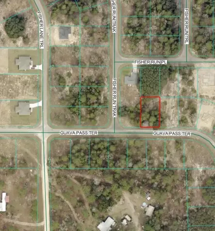 Guava Pass Terrace Ocklawaha FL 32179