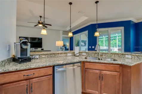 29 Arena Lake Drive Palm Coast FL 32137