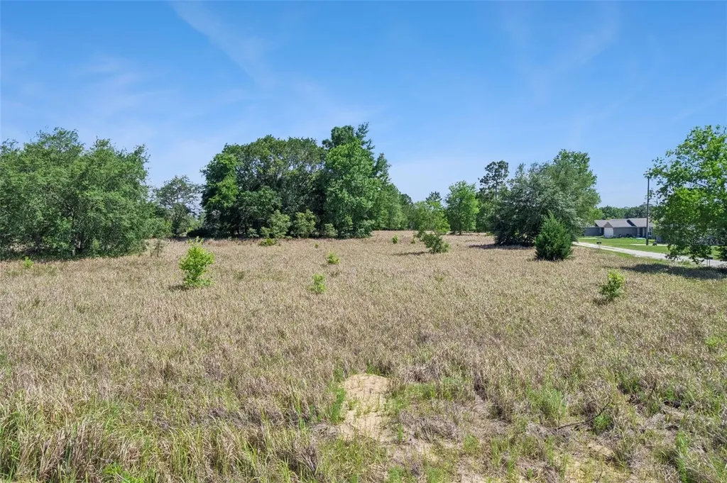 SW 149th Court Ocala FL 34481