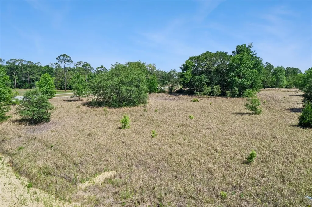 SW 149th Court Ocala FL 34481