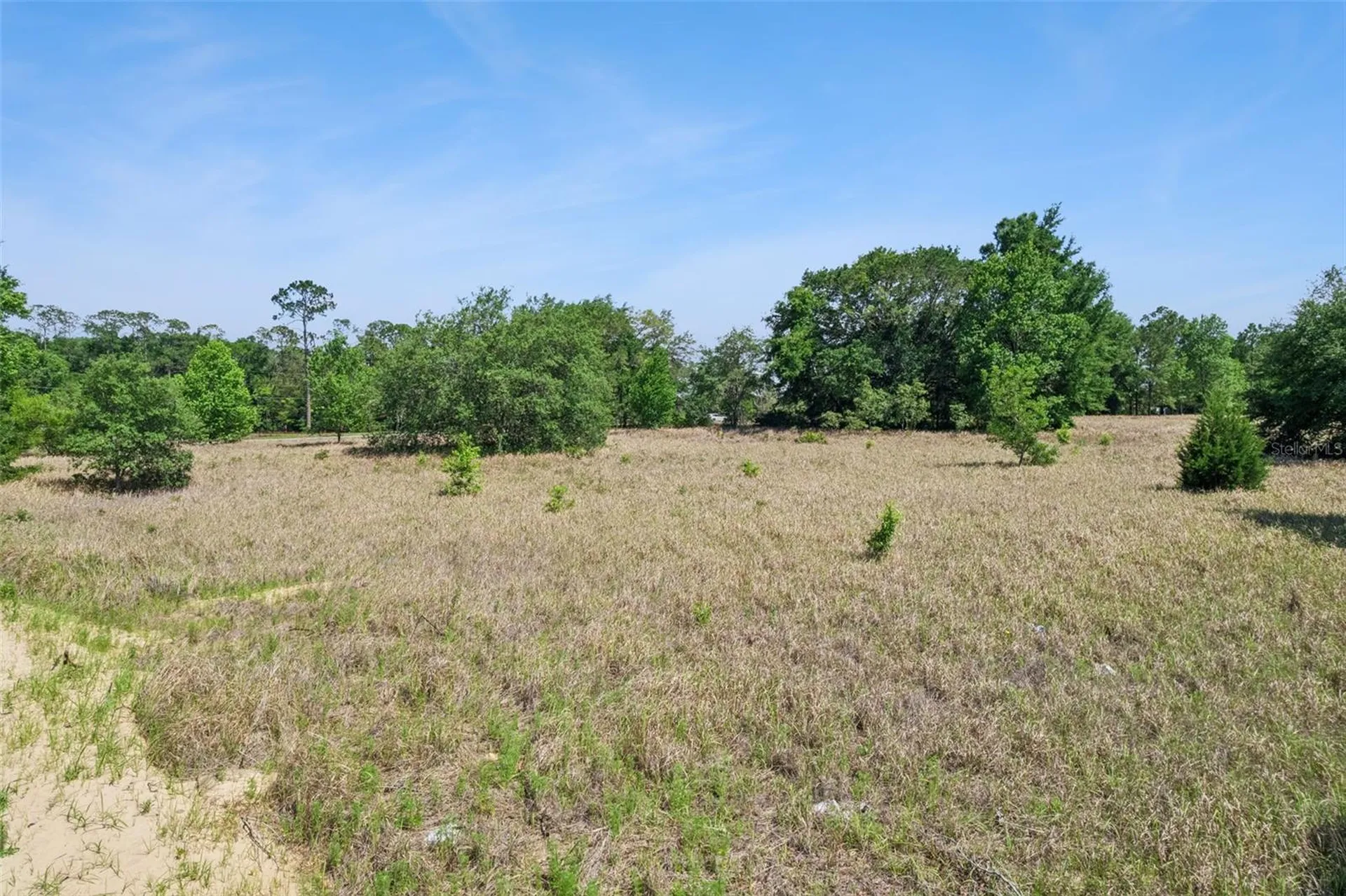 SW 149th Court Ocala FL 34481